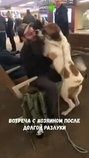 Хозяин после
