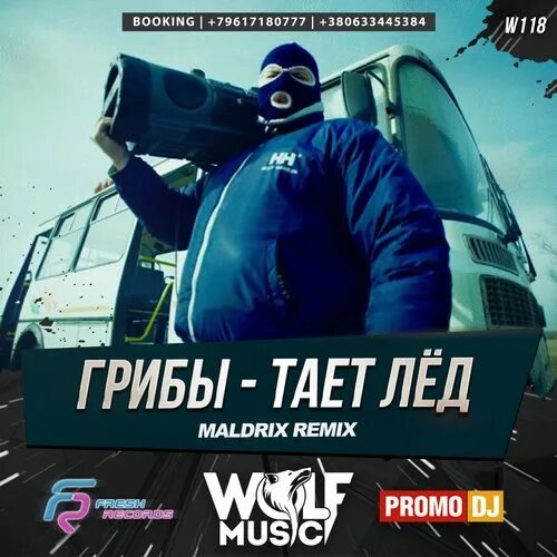 Между нами тает лед mp3. Грибы тает лед. Грибы группа тает лёд. Грибы лед. Тает лёд обложка.