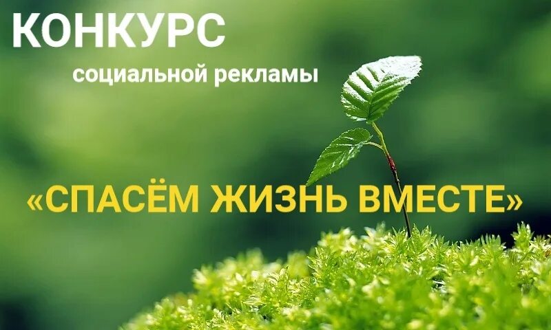 Социальной рекламы спасем жизнь вместе