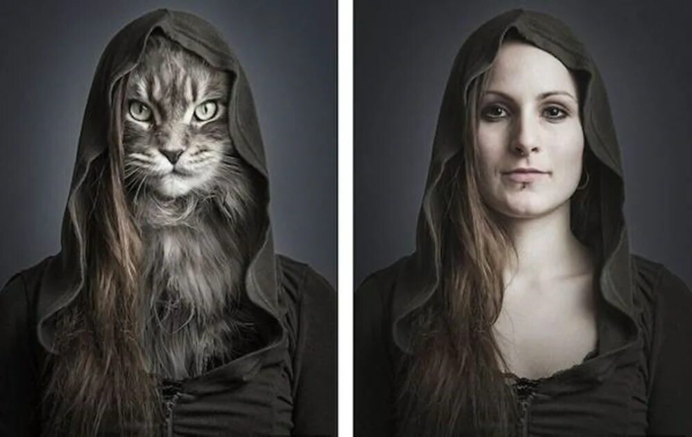 We Can’t Tell if These Cat Portraits Are Creepy or Awesome (or Both) Cat portrai