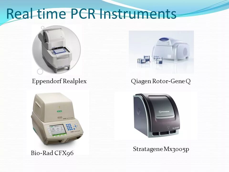 Real time pcr. Амплификатор Rotor Gene. Амплификатор Rotor Gene q. Амплификатор нуклеиновых кислот (Термоциклер) Rotor-Gene q 6plex. Ротор Джин амплификатор.