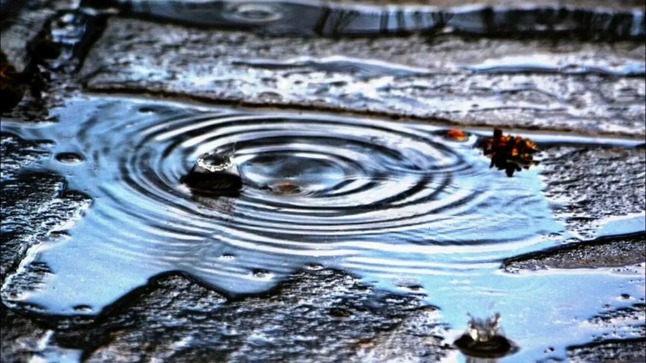 Лужа. Красивая лужа. Лужа воды. Изображение лужи.