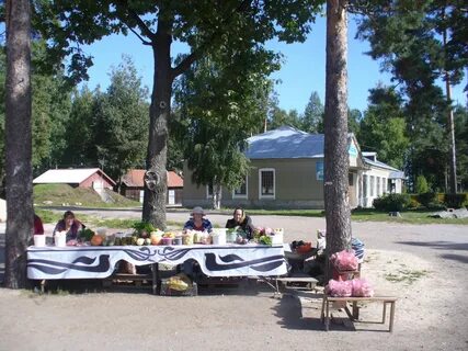 Плодовое приозерский