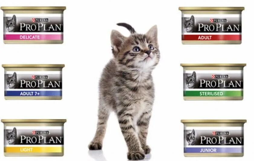 Проплан виды. Пурина проплан для котят влажный. purina pro plan консервы для кошек. влажный корм пурина про план. проплан консервы для стерилизованных кошек.
