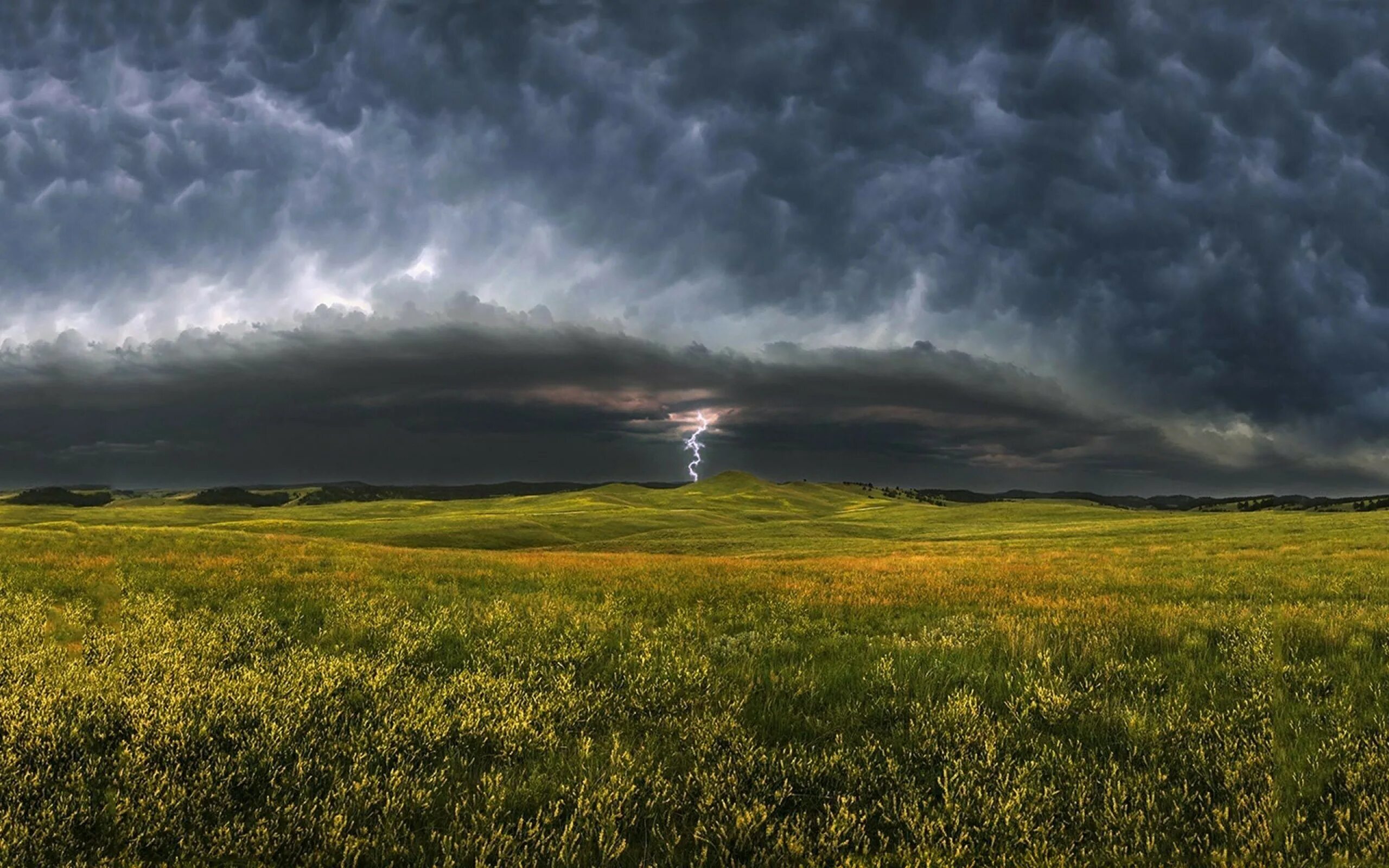 Лето гроза. Грозовое небо. Гроза в поле. Дождь в степи. Природа физических полей