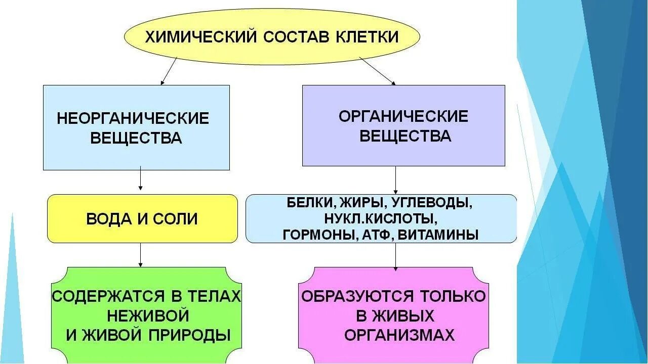 Вещества входящие в состав живых клеток