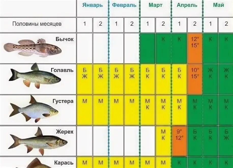 Рыболовный календарь. Рыбный календарь. Клев рыбы. Календарь клева.