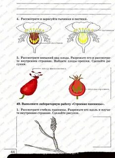 Рассмотрите внешний вид