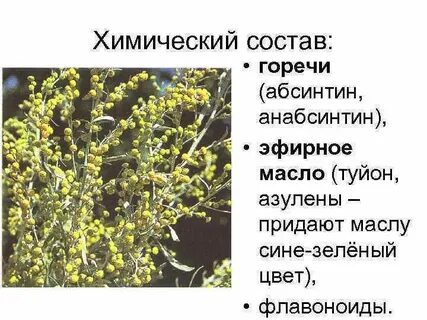 Полынь состав
