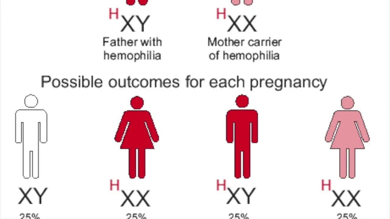Гены детей от первого мужчины. Тип наследования симптомы гемофилия. Схема наследования гемофилии. Гемофилия Царская болезнь Тип наследования. Гемофилия передается по наследству.