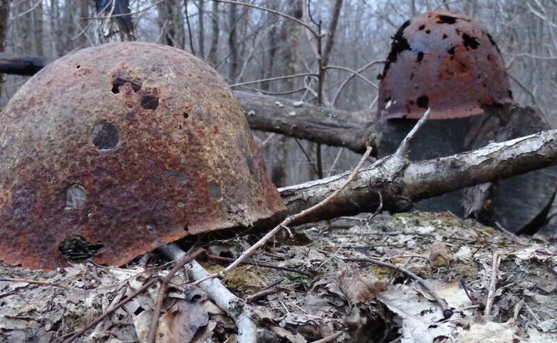 Эхо военные. Эхо войны картинки.