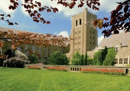 Cornell university