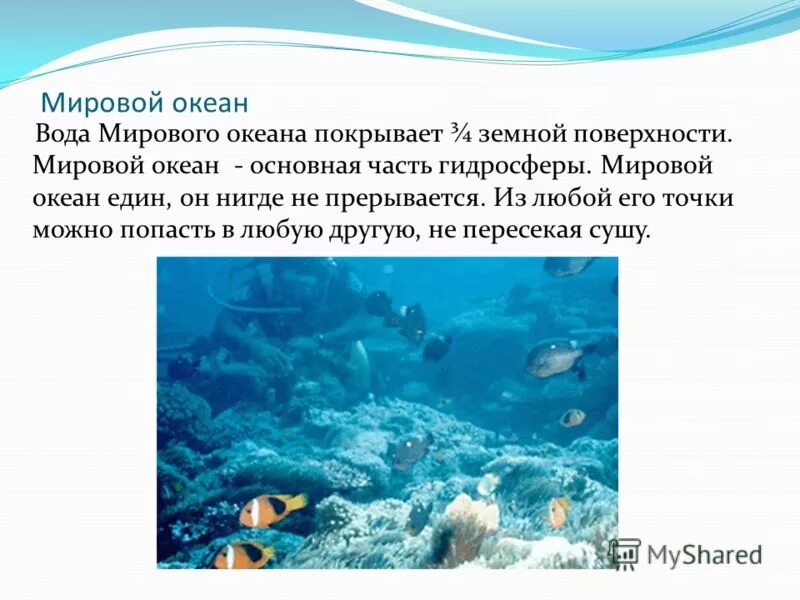 Частями мирового океана являются. Общие сведения о мировом океане. Воды Мировых океанов. Сообщение на тему мировой океан. Мировой океан презентация.