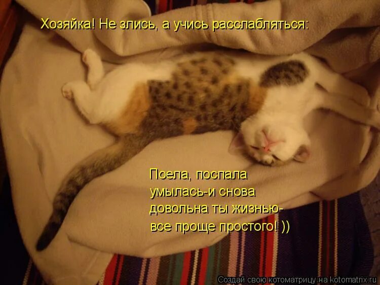 поесть поспать. пожрать борща поспать. наелась и выспалась. покушали можно и поспать поспали можно и покушать картинки. покушали можно и поспать.