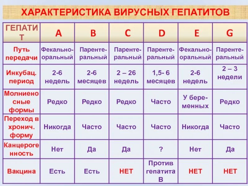 Особенности е п. Сравнительная характеристика вирусных гепатитов. Сравнительная характеристика возбудителей вирусных гепатитов. Характеристика вирусов гепатитов. Гепатит а характеристика.