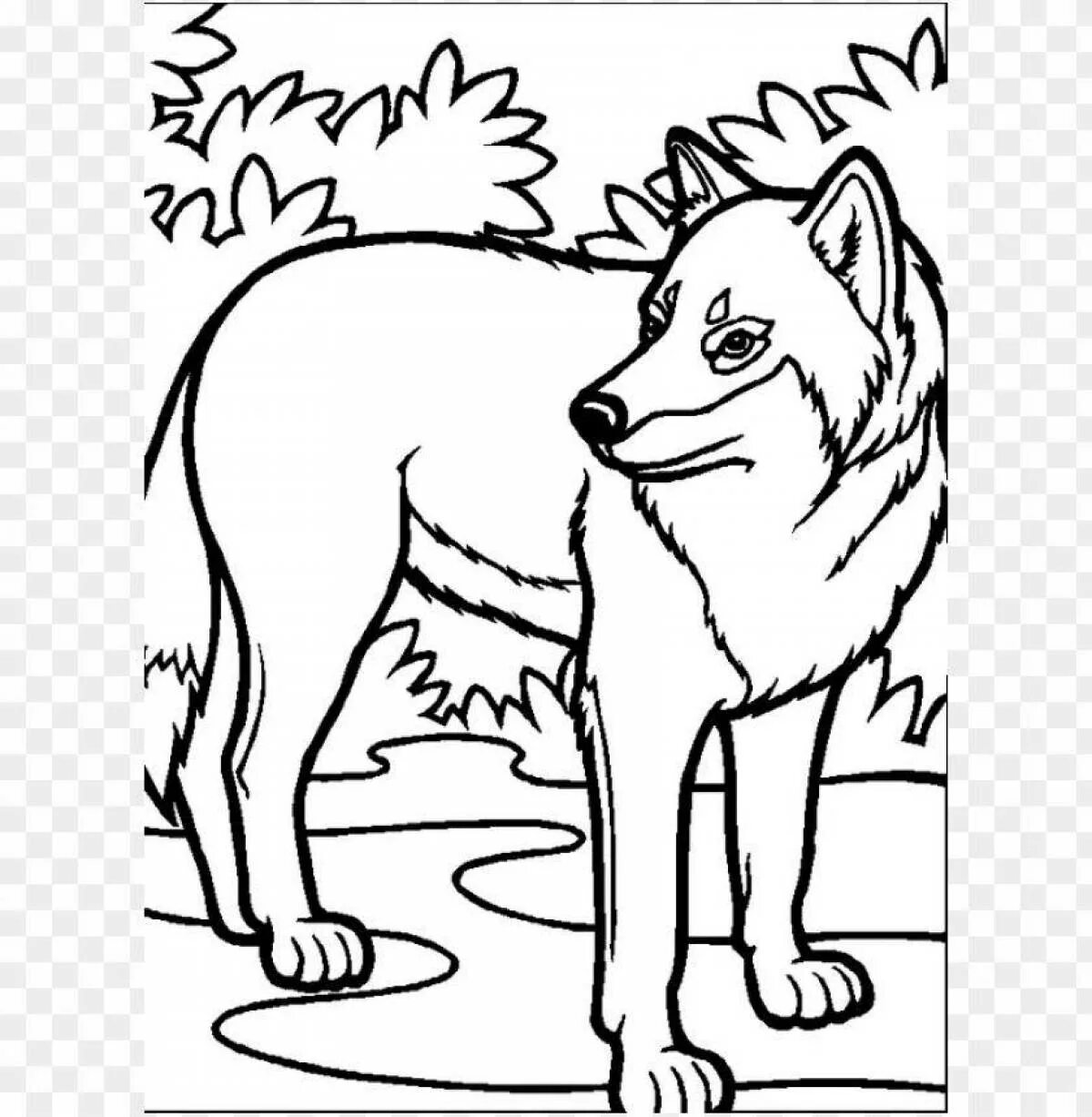 Раскраска серый волк. Раскраска волк. Волк картинка раскраска. Волк раскраска для детей. Красный волк раскраска.