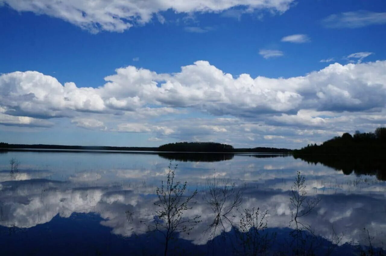 Деревня деревенька вологодская область. Заброшенные деревни вологодской области тотемский. Вологодская область 60. Вологодская область 60. Саминский погост вытегорский район.