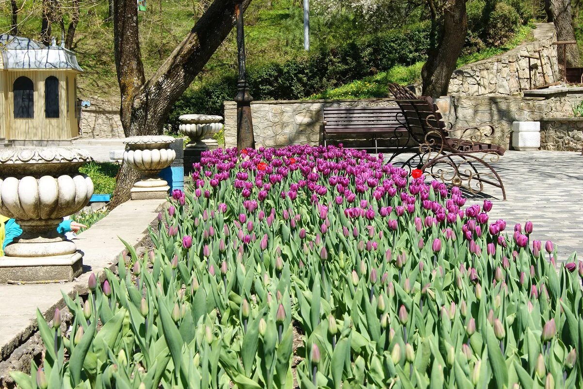 бухарский дворец железноводск. железноводск в апреле. железноводск горы смотровая площадка. железноводск фото города. железноводск в апреле.
