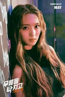 Setora cherry