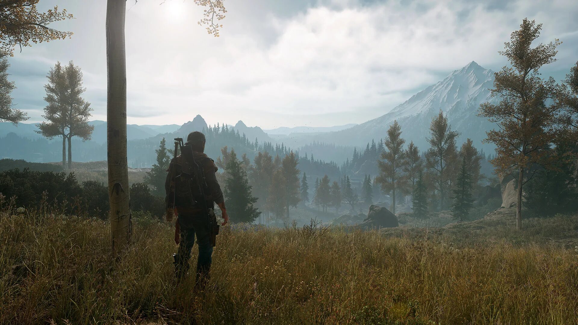 Игра потом. Days gone. days gone системные требования. игра дейс гон. days gone скрины.