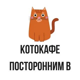 Время коту