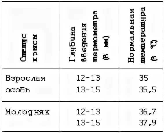 Температура мыши