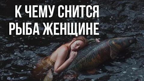 Сонник большая рыба много