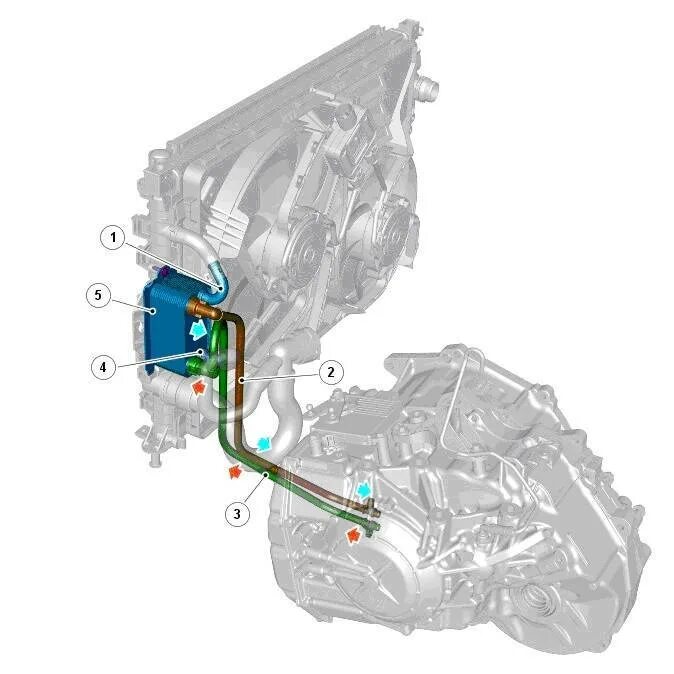 Радиатор акпп pajero 4. Радиатор охлаждения акпп фрилендер 2 дизель. Шланги охлаждения акпп 5hp19. Охлаждения масла коробки. Система охлаждения акпп w168.
