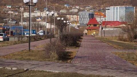 Сетевой петропавловск