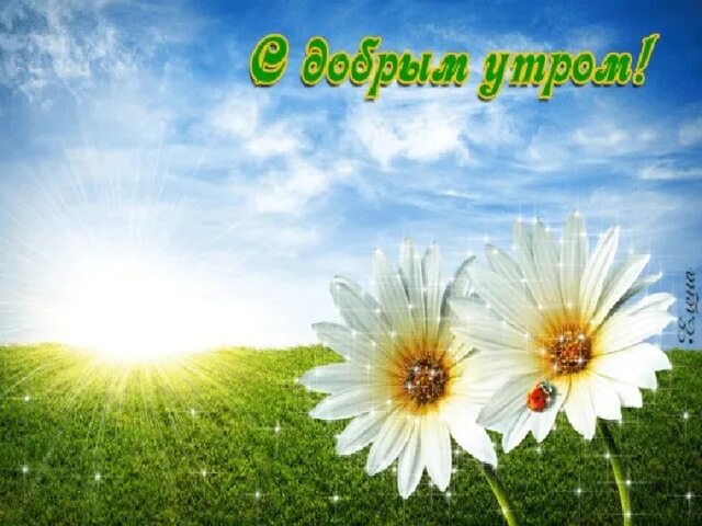 Всем доброго утра солнечного дня. Открытки с добрым утром с природой. красивые поздравления с добрым утром природа. картинки с добрым утром природа. удачного дня природа.