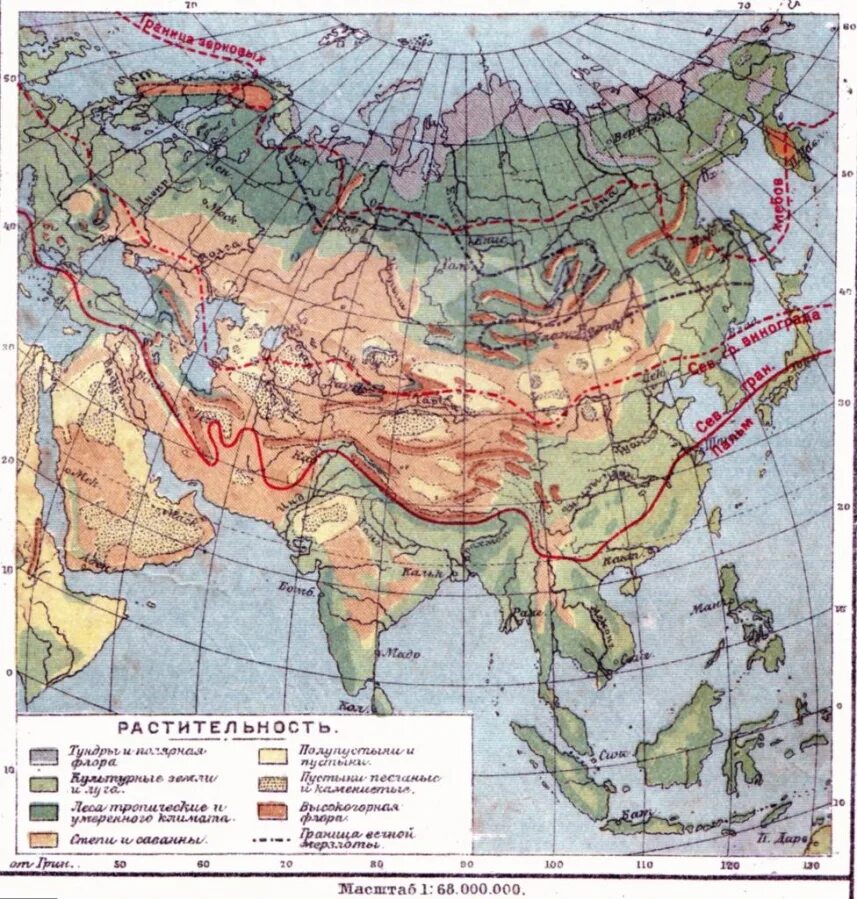Карта евразии зоны. Растительный мир Евразии на карте. Физико-географическое районирование Евразии. Карта природных зон Евразии. Карта растительности Евразии.