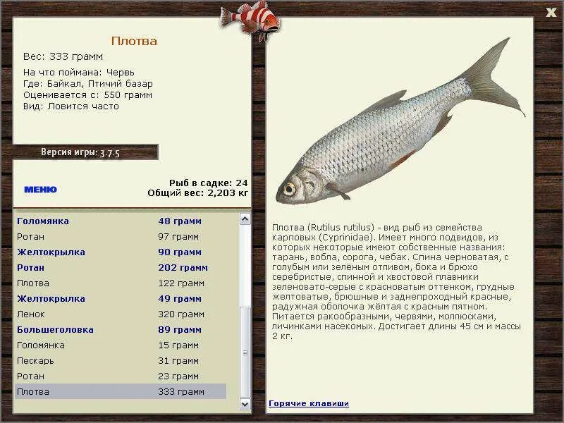 снасти для зимней рыбалки. насаживание теста на крючок. тесто для рыбалки на карася. тест на ловлю. тест на ловлю.