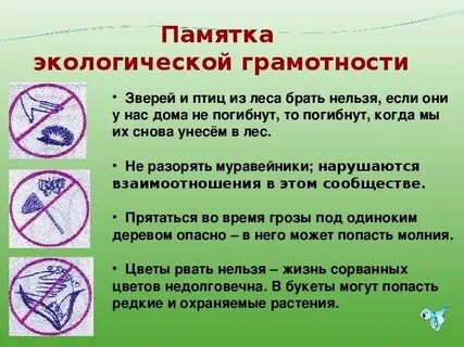 Правила экологической жизни