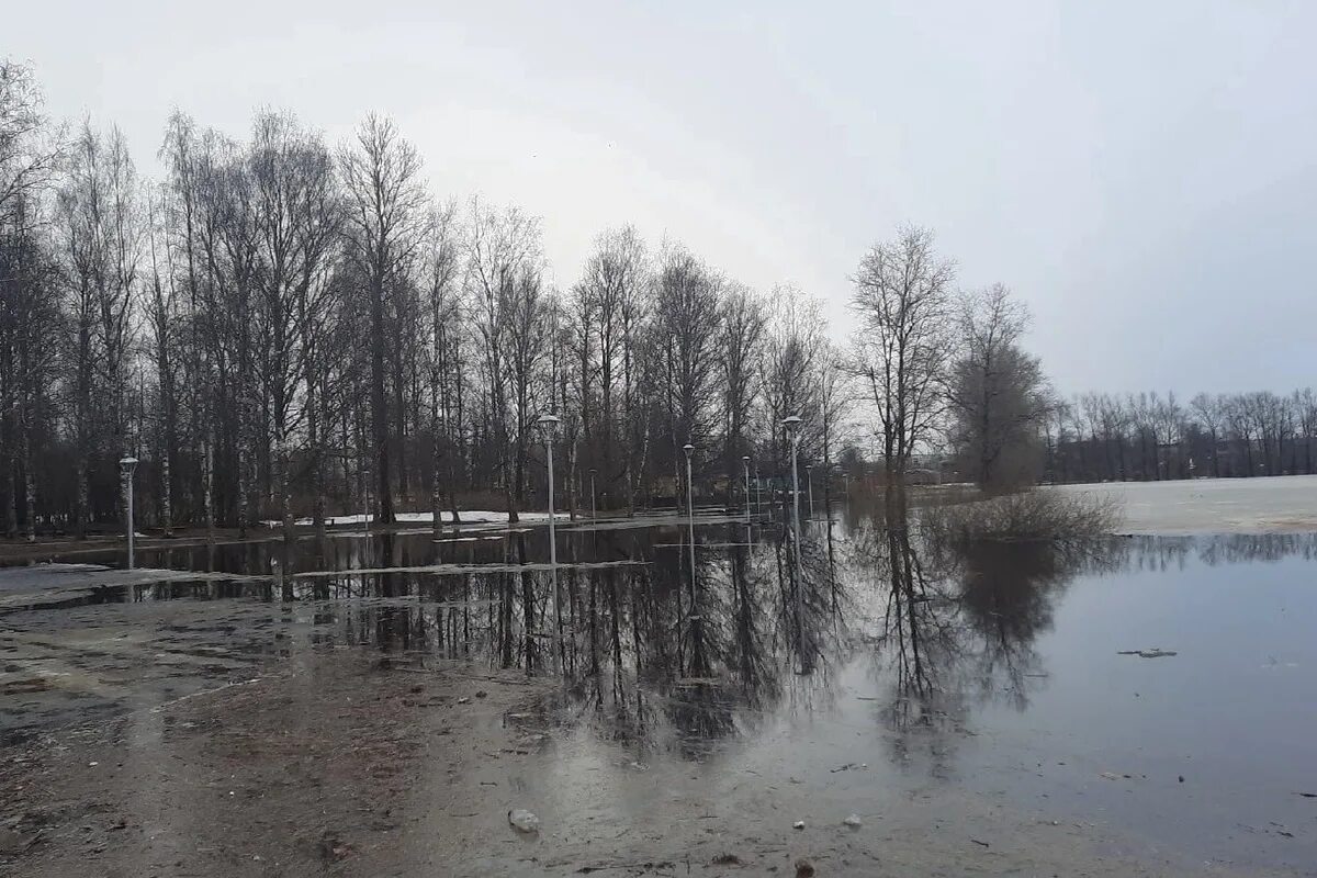 Критический уровень воды в реке. Тихвин паводок. Весенний паводок. Весенняя река. Весеннее половодье фото.