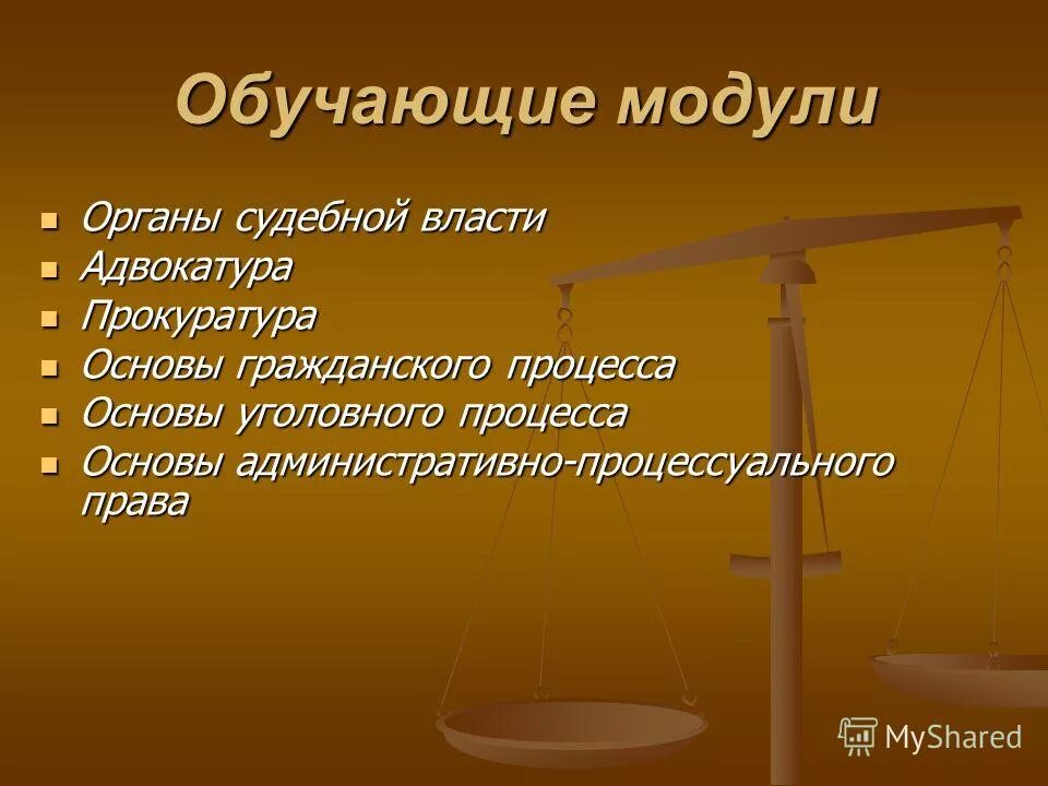 Основы судопроизводства в рф