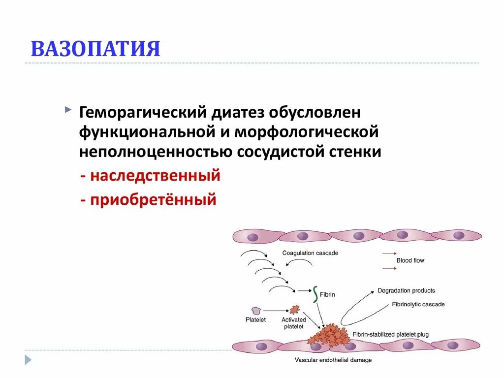 Патофизиология гемостаза