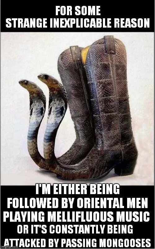 Boots are make for walking
