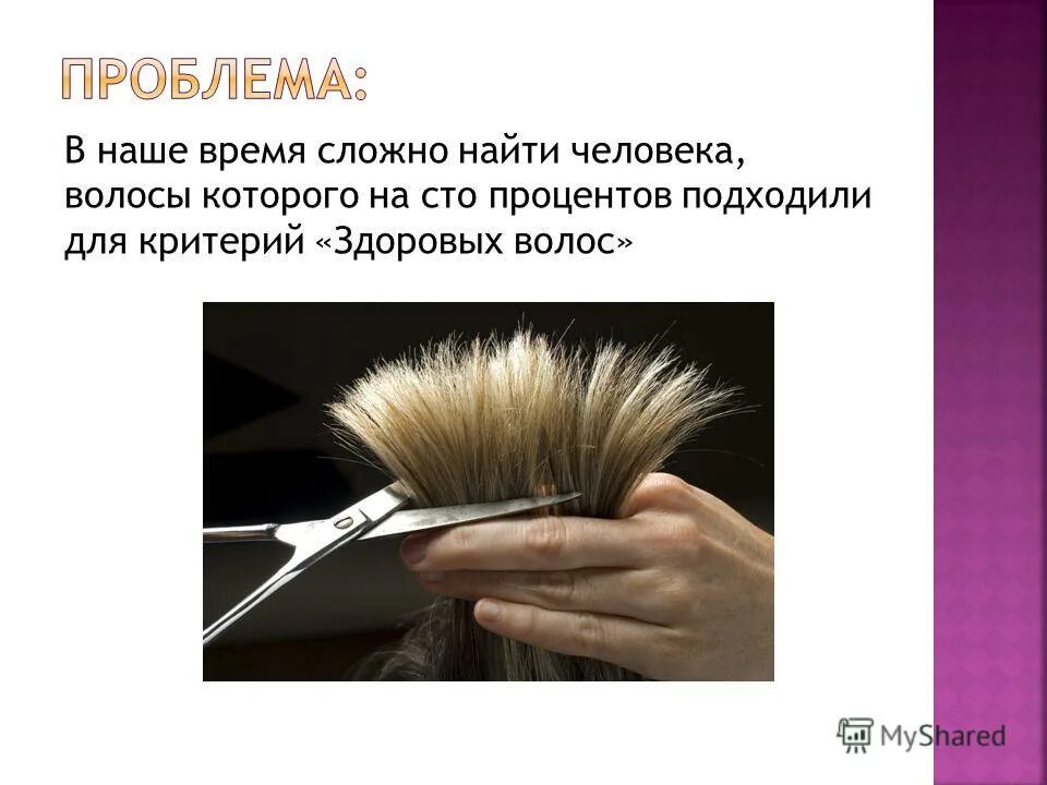 Проект на тему волос человека Как влияют волосы на здоровье человека журнал