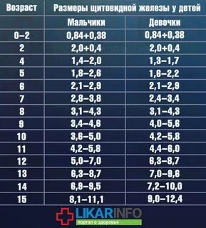 Проста нормы размеров