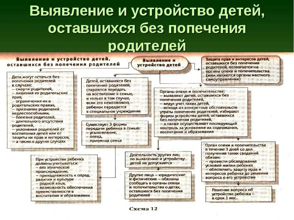 Опеки и попечительства на территории. Формы устройства в семью детей оставшихся без попечения родителей. Выявление и устройство детей оставшихся без попечения родителей. Форма и устройство детей-сирот, оставшихся без попечения родителей. Порядок выявления и учета детей оставшихся без попечения родителей.