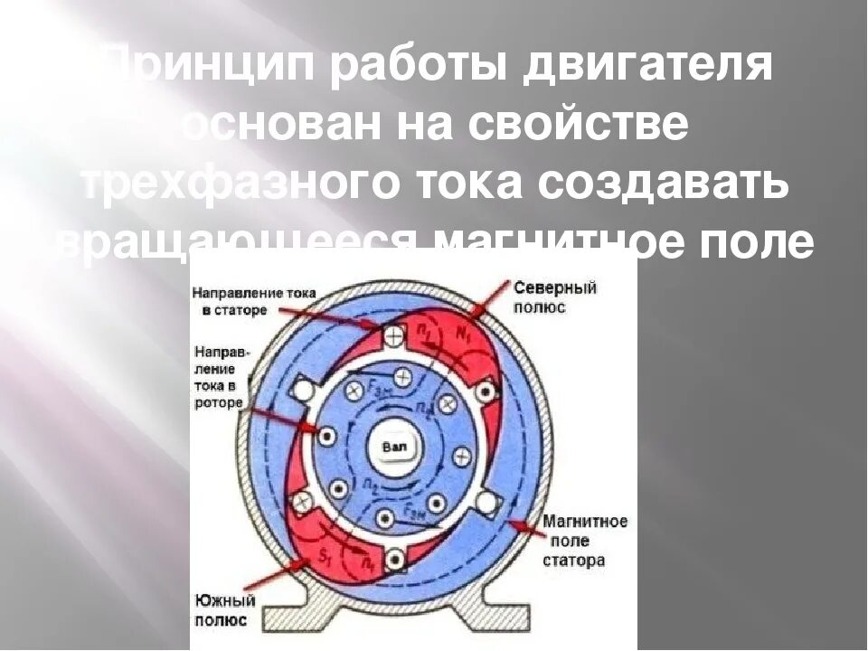 На каком физическом явлении основана работа электродвигателя. Двухполюсный асинхронный двигатель. Принцип действия электродвигателя. Принцип работы электродвигателя. Принцип действия двигателя.