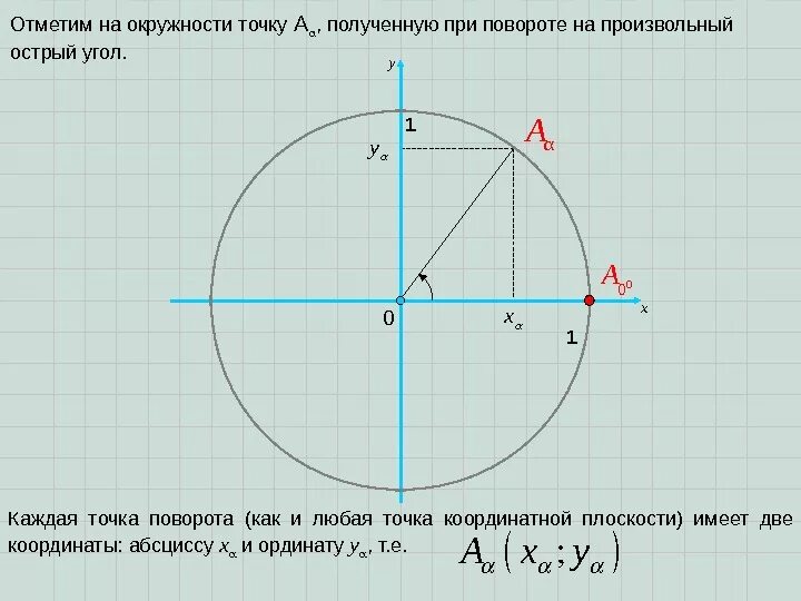 В круге отметили точку. Нахождение точки на окружности. Углы в окружности. Отметьте точки на окружности. Вычисление точки на окружности.