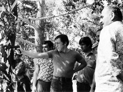 Июнь 1976 года
