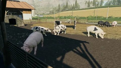 Сайт farming
