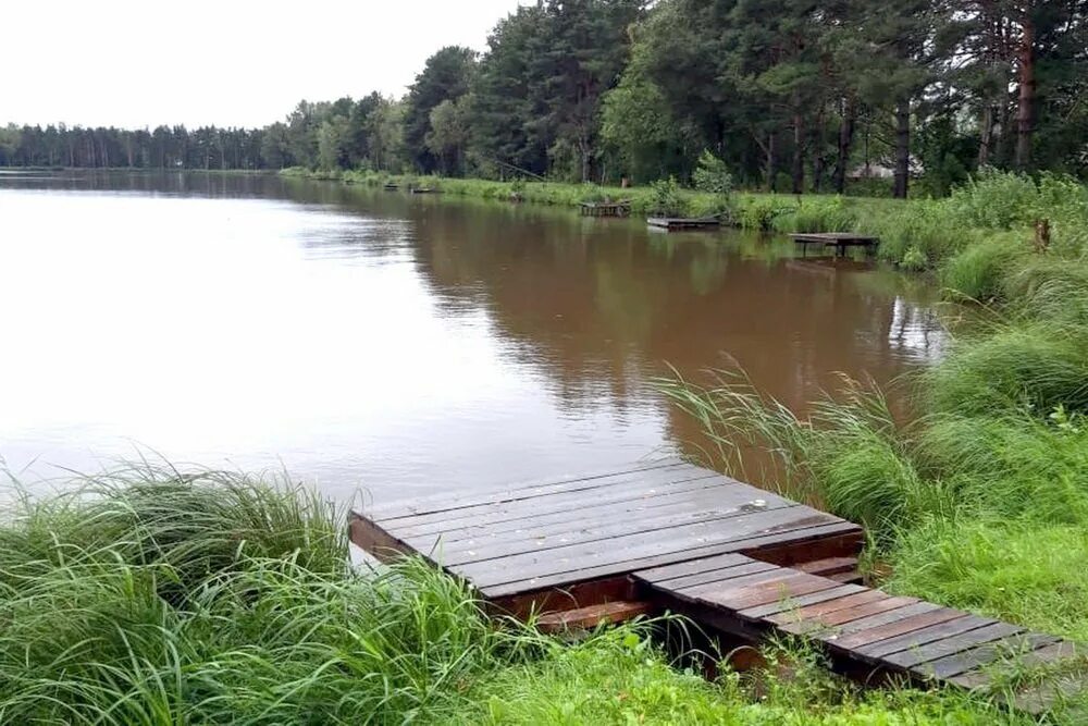 Рыбалка в ленинградской. Платная рыбалка в ленобласти. Платная рыбалка в ленинградской. Озеро монетка первомайское. Рыбные пруды, посёлок ропша.