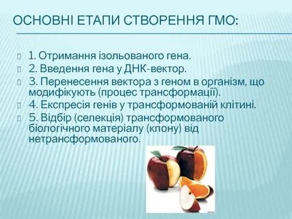 Гмо 1