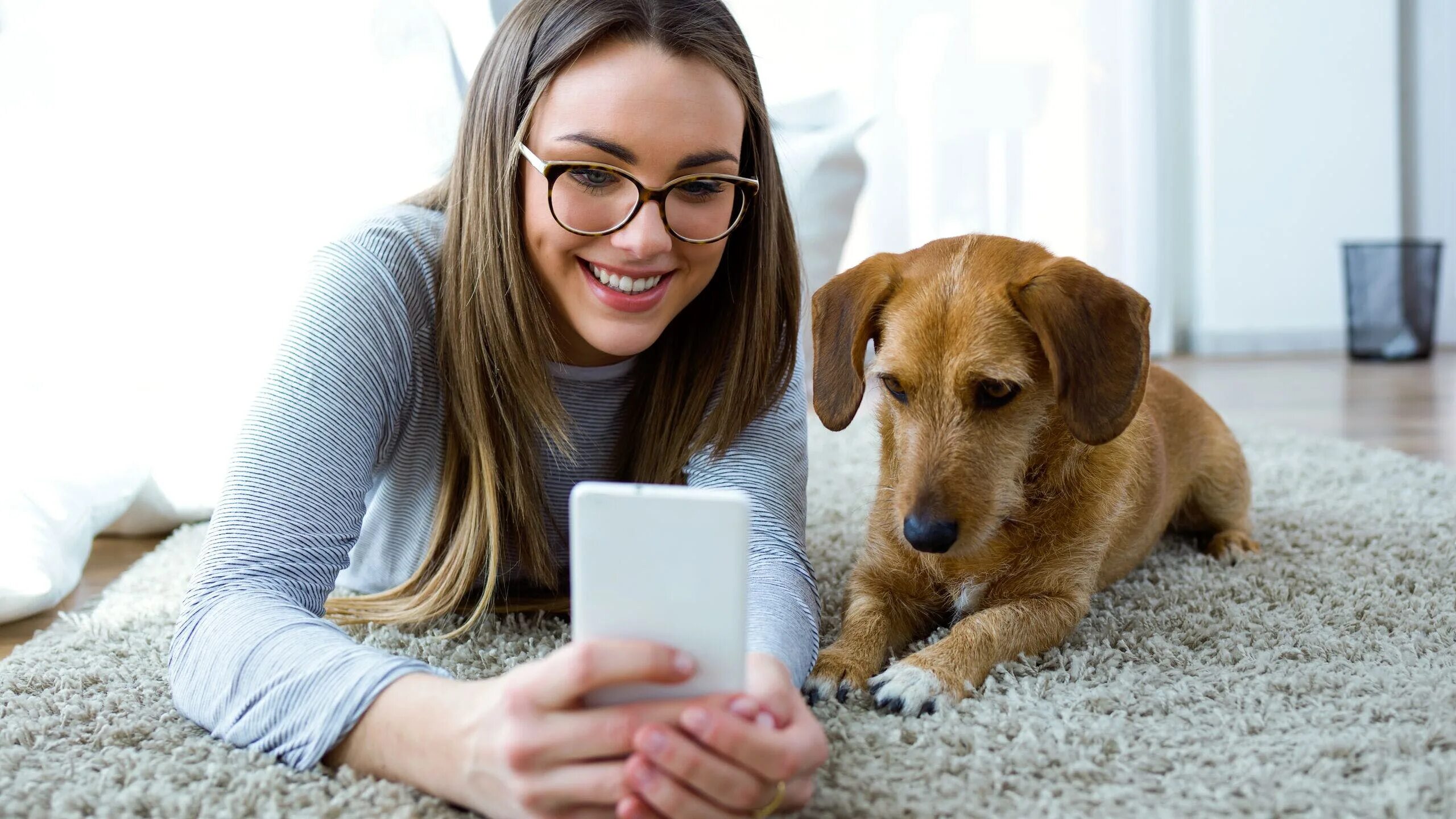 Смартфон doggy. Smartphone on Dog. Приложения для ухода за питомцами. Pet Technologies. Pet owner