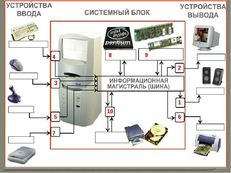 Находится вне системного блока используется для ввода. Архитектура пк устройства ввода-вывода. персональный компьютер устройства ввода и вывода. архитектура пк плакат. устройства ввода и вывода схема.