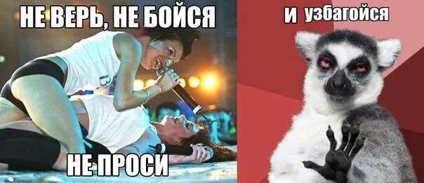 Волкодав ирландский волкодав. Не бойся пенсии. Дети и собаки цитаты смешные. Она не боится конца. Ирландский волкодав (irish wolfhound).