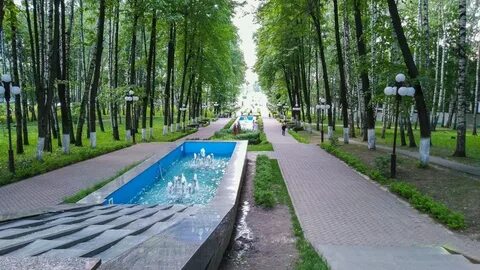 Березовая роща дмитровское